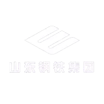 山东钢铁集团客户案例