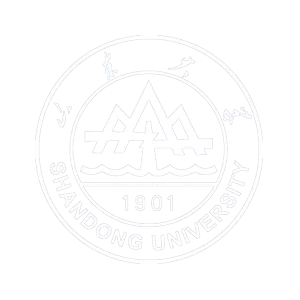 智慧政务-山东大学