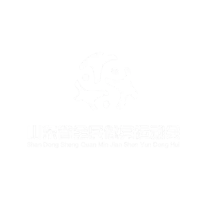 济南全民健身广场客户案例