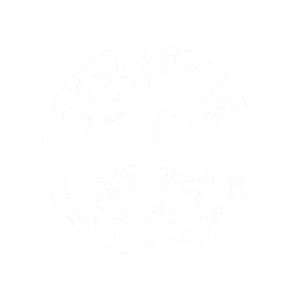 智慧政务-青岛市第一中学