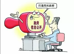 -政府绩效考核存在问题的成因分析