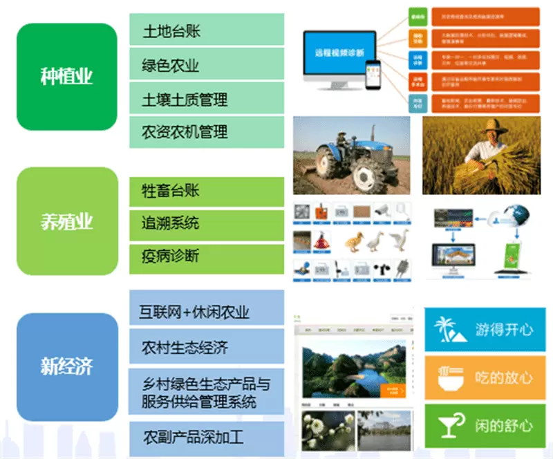 数字5.webp