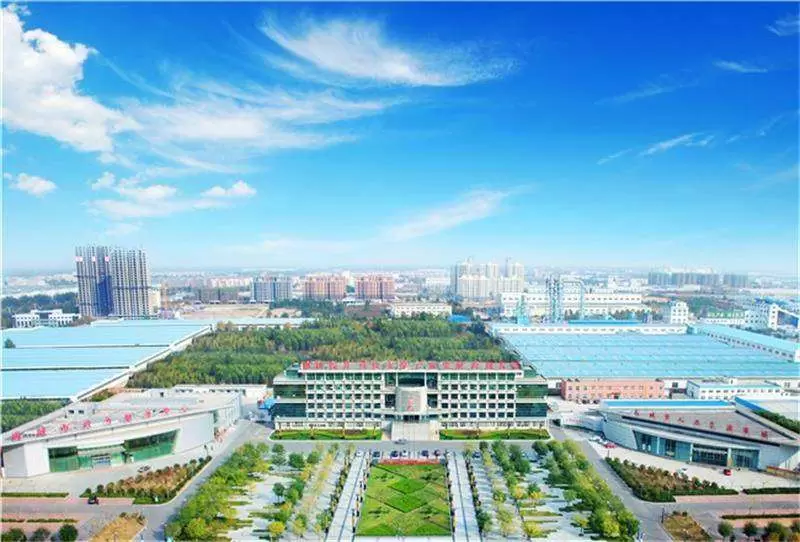 客户案例-山东禹城市中街道