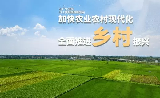 1647933341011.webp