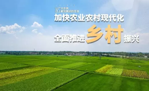 1670985025512.webp