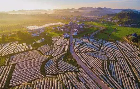 数字乡村-数字乡村建设想要进一步突破现阶段要做的事情