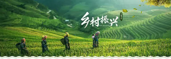 微信图片_20230309203053.webp