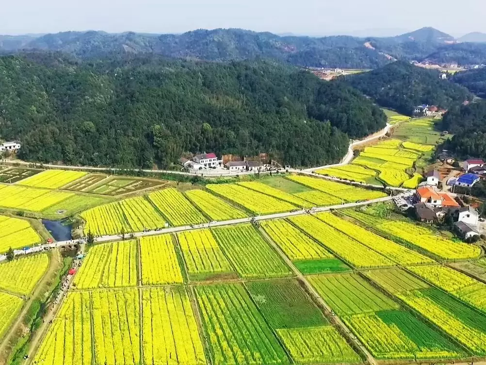 乡镇/街道-湖南省长沙县某镇党建引领基层治理平台客户案例