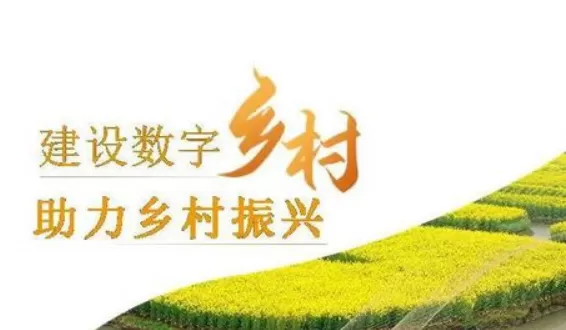 1685516725553.webp