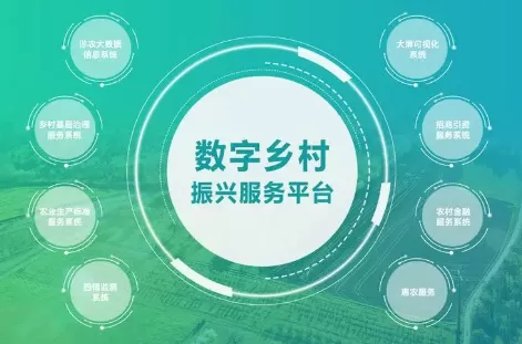 1685516719873.webp