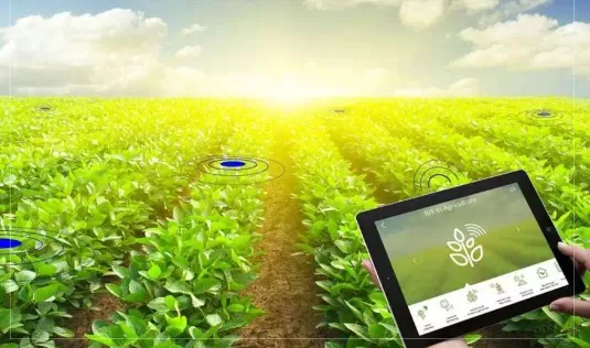 1691735167994.webp