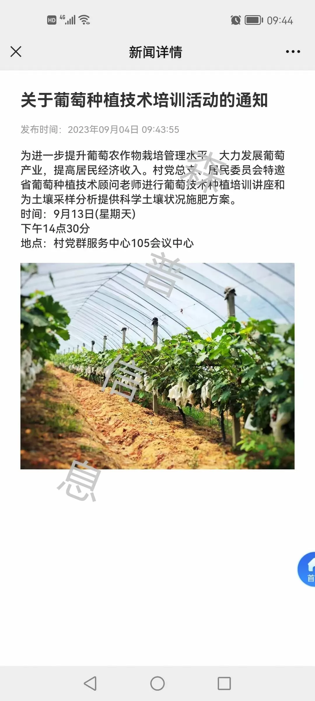 640 (6).webp