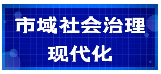 社会治理平台-网络治理与市域社会治理：构建和谐健康的网络空间