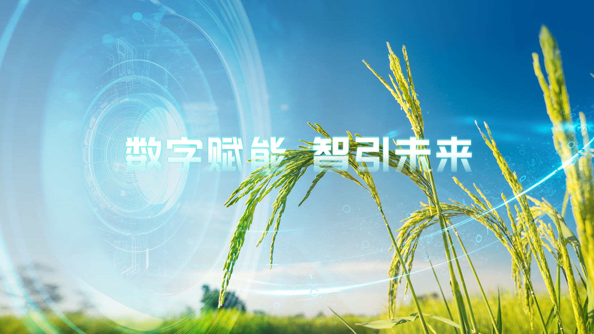 数字乡村-数字乡村新篇章，数字技术在乡村治理中的作用