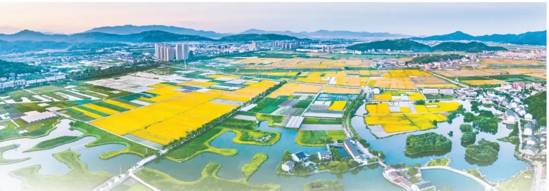 数字乡村-浙江省瑞安市某镇客户案例
