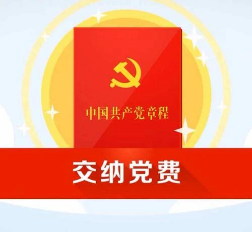AI智慧党建-党务平台党费缴纳的优势是什么？