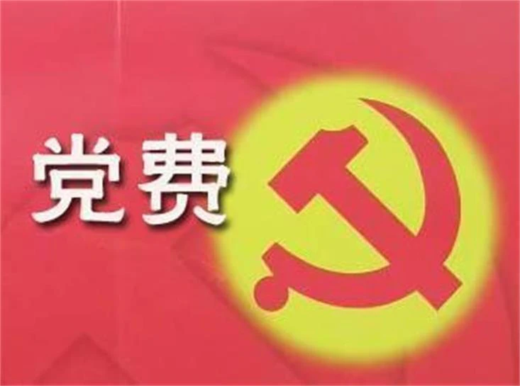AI智慧党建-智慧党建怎样优化党费缴纳流程？