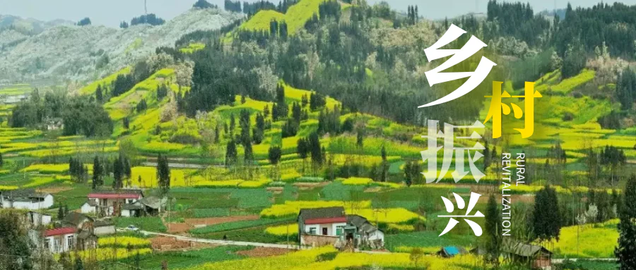 AI数字乡村-森普助力乡村环境整治，和美乡村焕“新颜”