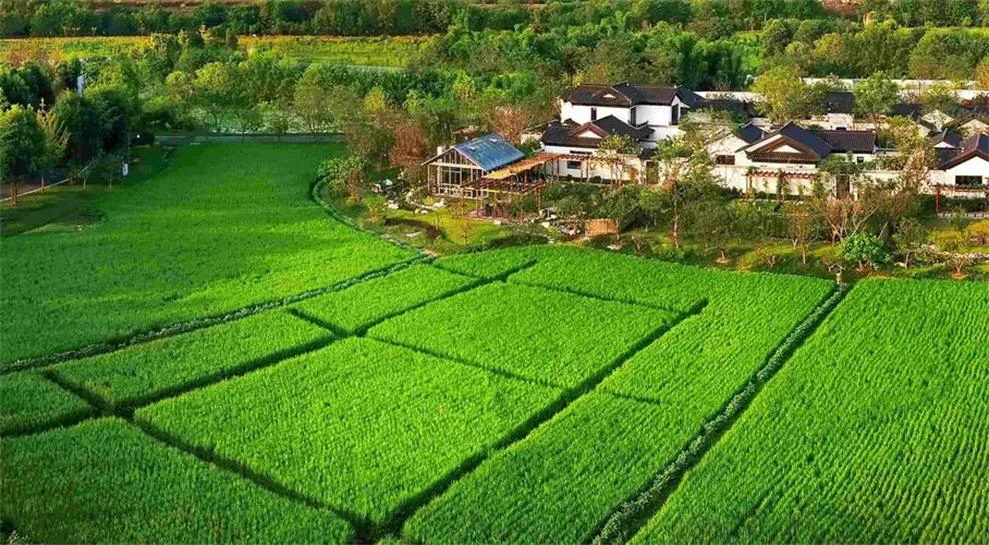 AI数字乡村-数字乡村可视化平台都有什么功能？