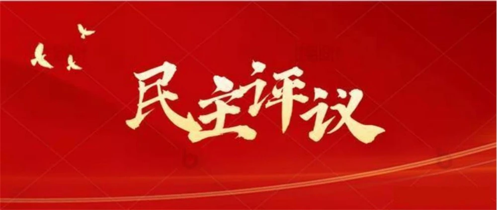 AI智慧党建-智慧党建：民主评议包括哪些方面？
