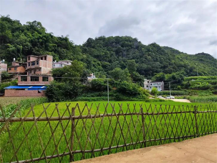 AI数字乡村-数字乡村综合指挥中心有哪些作用？