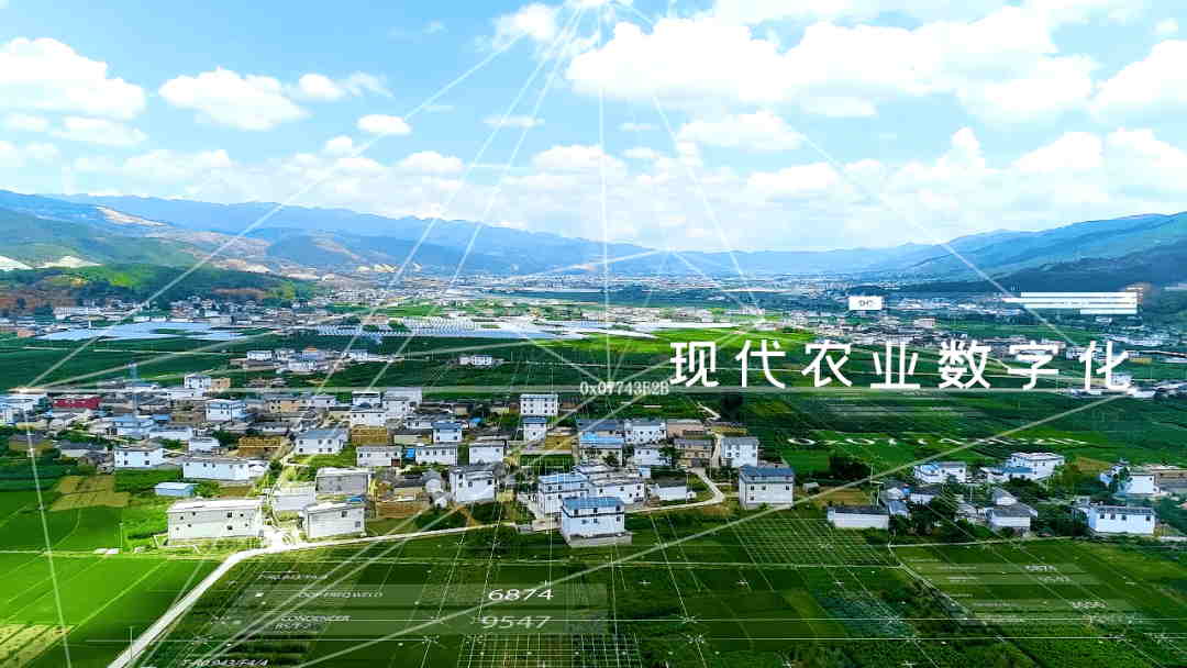 数字乡村-数字领航乡村路，赋能开启新治章