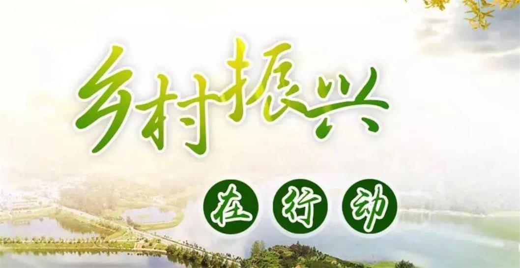 数字乡村-未来已来：数据中台在数字乡村的应用前景。