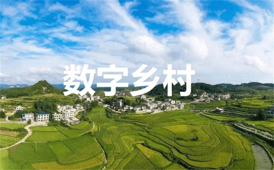 数字乡村-数字乡村中党建引领有哪些作用？