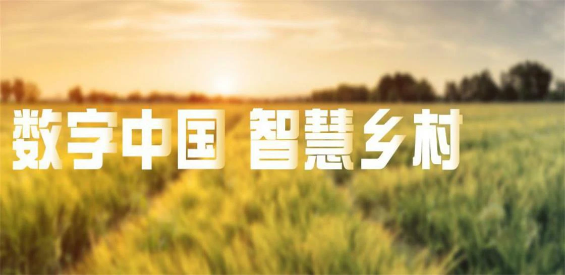 AI数字乡村-数字乡村如何在党建引领下实现全面振兴？