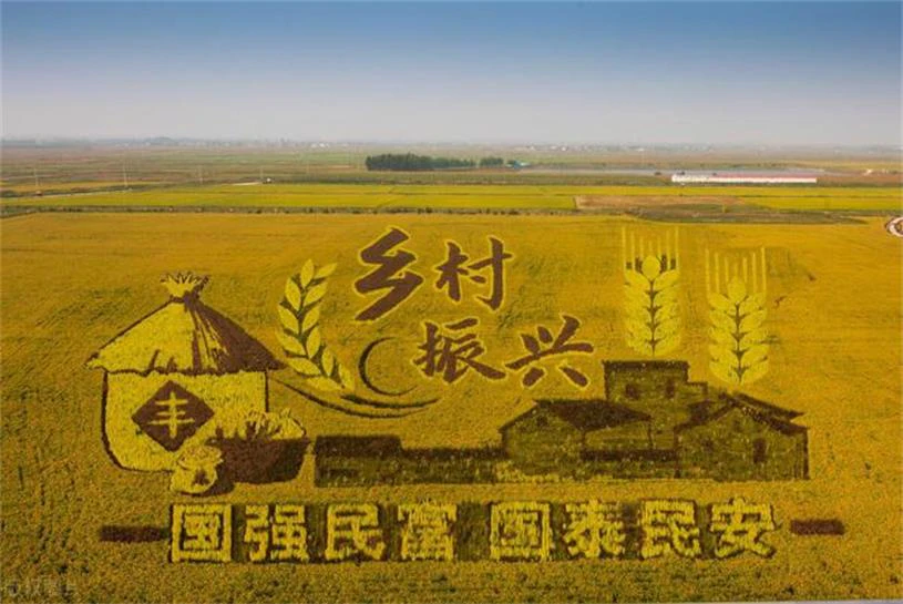 AI数字乡村-数字乡村：智慧物联为农民提供全面及时预警。
