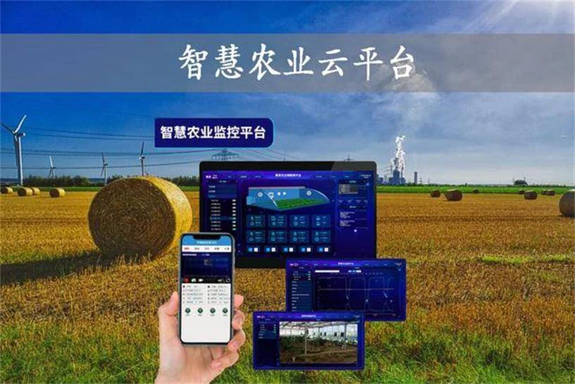 AI数字乡村-如何在数字乡村实现党建引领的有效对策？