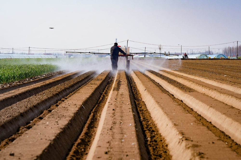 智慧农业-三农小知识：喷农药选对时间，少走弯路、效果更好