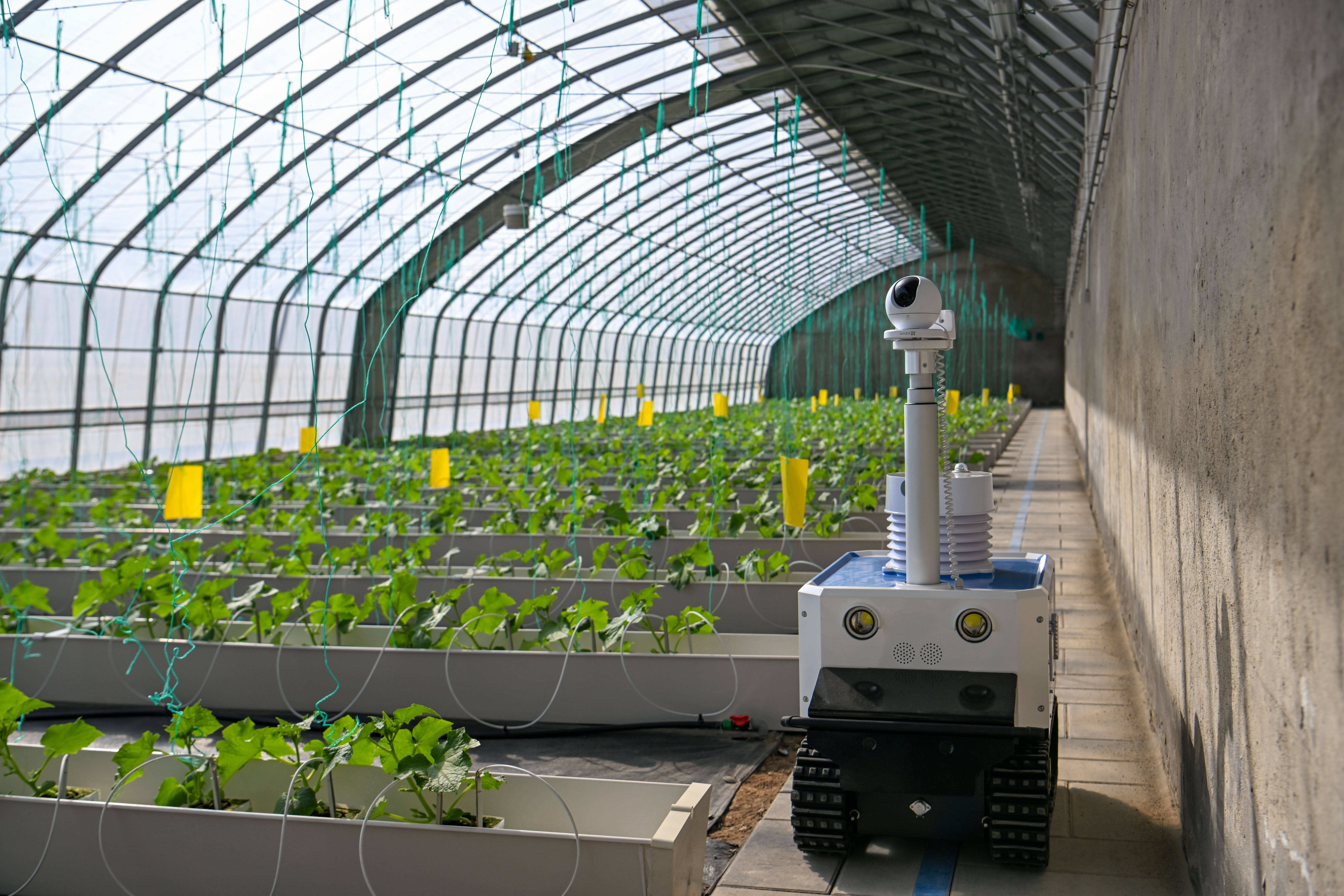 智慧农业-物联网在农业中的应用，看完秒懂