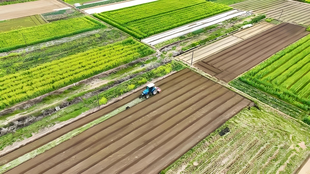 智慧农业-农业谚语：下雨有规律，记住这几句，农事不慌张