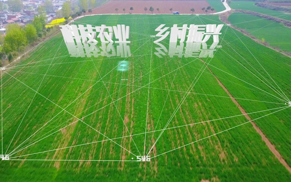 AI智慧农业-如何挑选智慧农业厂家？记住这3点就够了