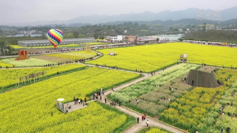 智慧农业-乡村文旅到底是什么？90%的人都理解错了