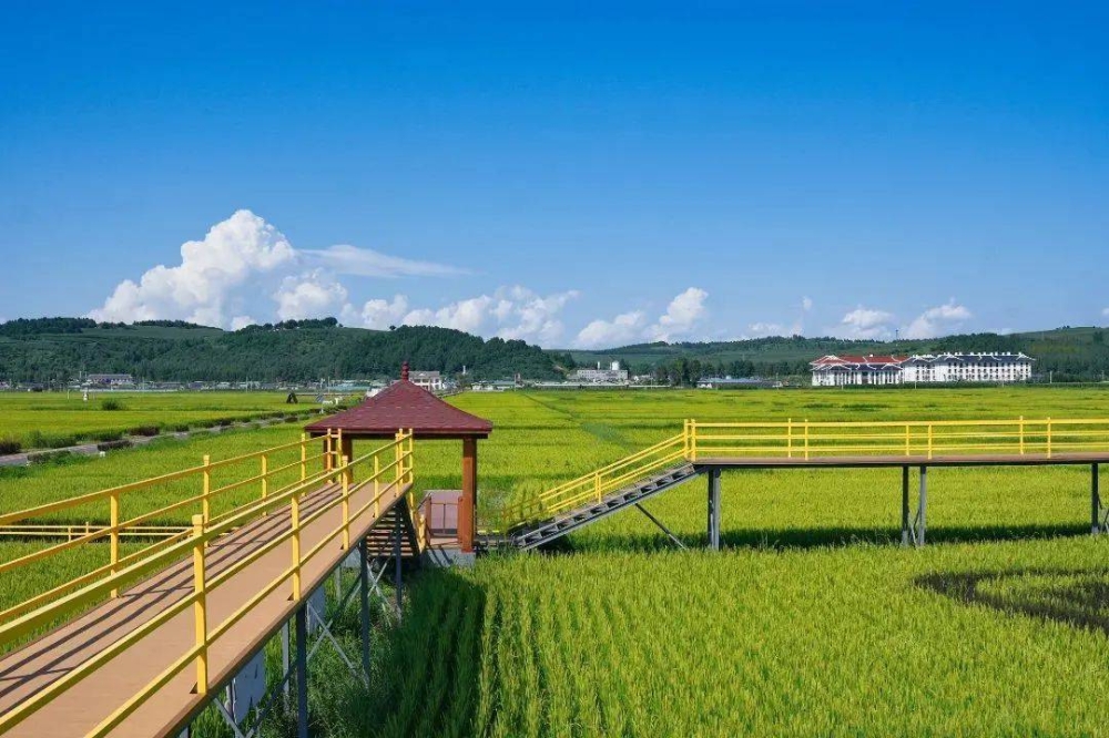 智慧农业-假期去哪儿？乡村文旅让你意想不到！