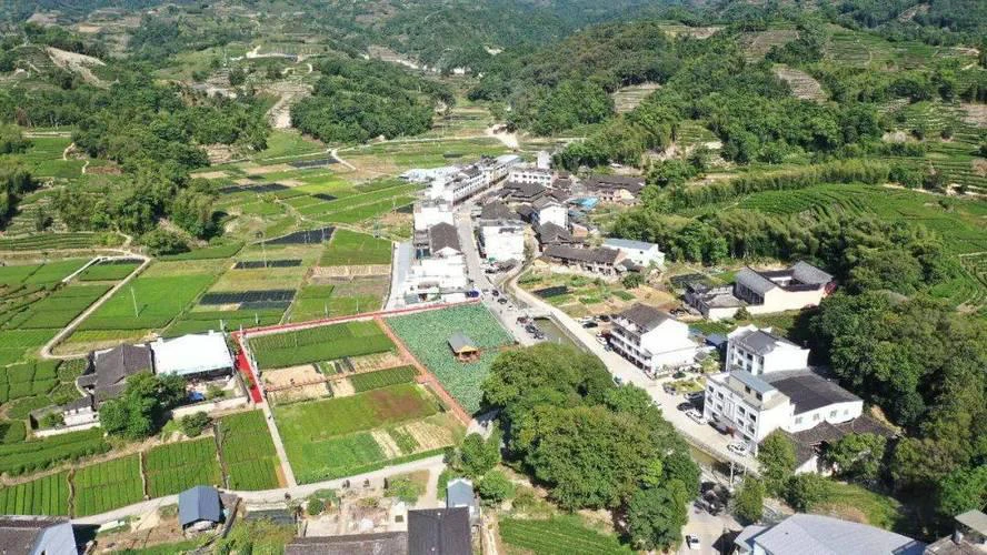 AI数字乡村-乡村振兴示范样板分享之建福鼎柏柳村