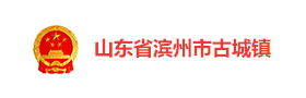 滨州古城镇“线上流动支部”数字党建