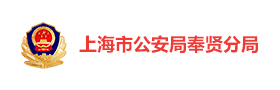 上海奉贤公安“藏蓝党建” 智慧党建