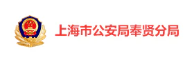 上海奉贤公安“藏蓝党建” 智慧党建