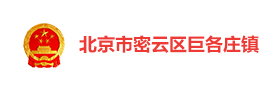 北京密云巨各庄镇“1+X+N”数字党建