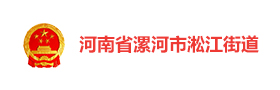 河南漯河淞江街道“先锋矩阵”智慧党建