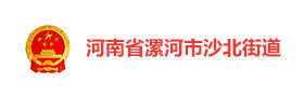 河南漯河沙北街道“精彩沙北”智慧党建