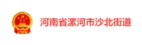 河南漯河沙北街道“精彩沙北”智慧党建