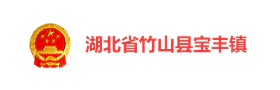湖北竹山县宝丰镇“十星促五兴”智慧党建