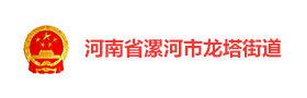 河南漯河龙塔街道“135 善治体系” 数字党建