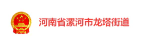河南漯河龙塔街道“智慧龙塔” 智慧党建平台
