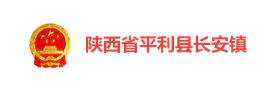 陕西平利长安镇“蜂巢式网格党建”智慧党建
