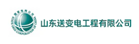 山东送变电工程“山送铁军”智慧党建